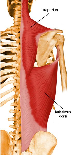 lat